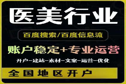 搜索引擎营销（SEM）的投放策略与效果评估——以某行业领先企业的案例分析
